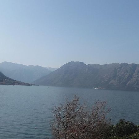 Melodia Del Mare 2 Appartement Kotor Buitenkant foto